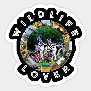 Wildlife Lover Zebra Aloe Sticker